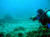 Resize of WhiteTip Shark_Diver1a.jpg (41148 Ӧ줸)