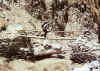 Resize of 030.jpg (172864 個位元組)