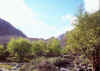 Resize of 010.jpg (120368 Ӧ줸)