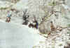 Resize of 007b.jpg (122954 Ӧ줸)