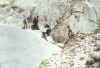 Resize of 007c.jpg (120542 個位元組)