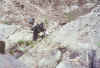 Resize of 007e.jpg (142417 Ӧ줸)