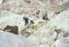 Resize of 007f.jpg (122817 個位元組)