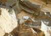 Resize of 004.jpg (103000 Ӧ줸)