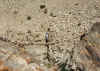 Resize of 008.jpg (166374 Ӧ줸²Õ)