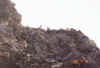 Resize of 011a.jpg (71109 Ӧ줸)