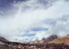 Resize of 005.jpg (58933 Ӧ줸)