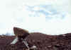 Resize of 036.jpg (72424 Ӧ줸²Õ)