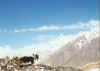 Resize of 006.jpg (69426 Ӧ줸)