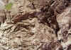 Resize of 025.jpg (184126 Ӧ줸)