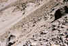 Resize of 0002.jpg (178722 Ӧ줸)