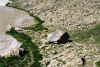Resize of 0014.jpg (166200 Ӧ줸)