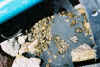 Resize of 0030.jpg (104030 Ӧ줸²Õ)