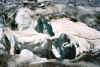 Resize of 0037.jpg (119832 Ӧ줸²Õ)